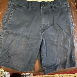 American Eagle Outfitters Dark Blue Flat Front Shorts size 28